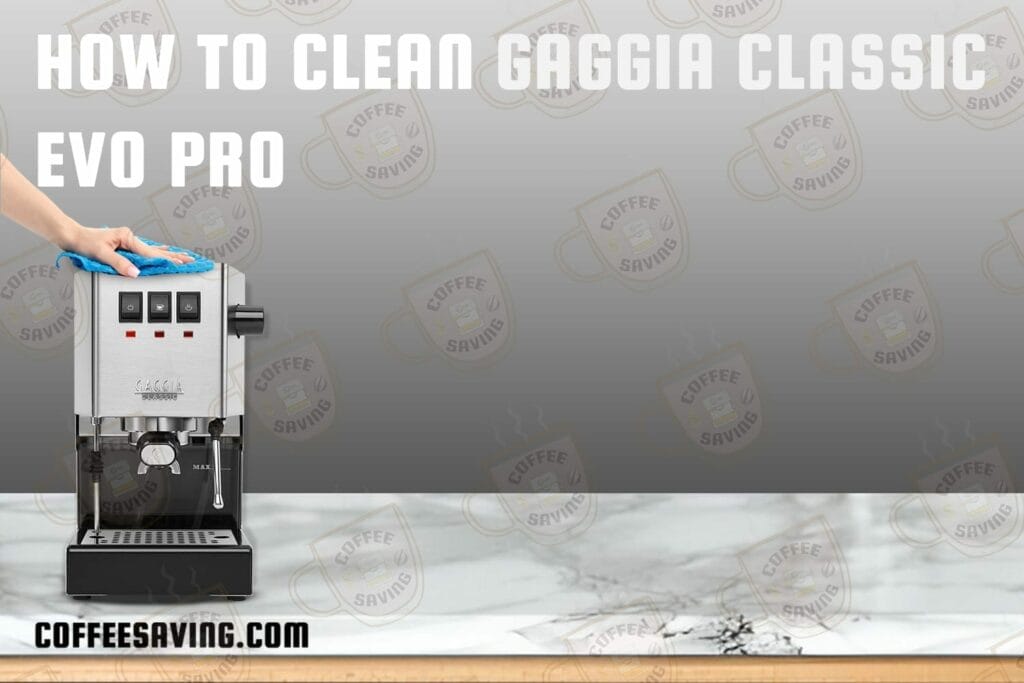 How To Clean Gaggia Classic Evo Pro Descale Back Flush